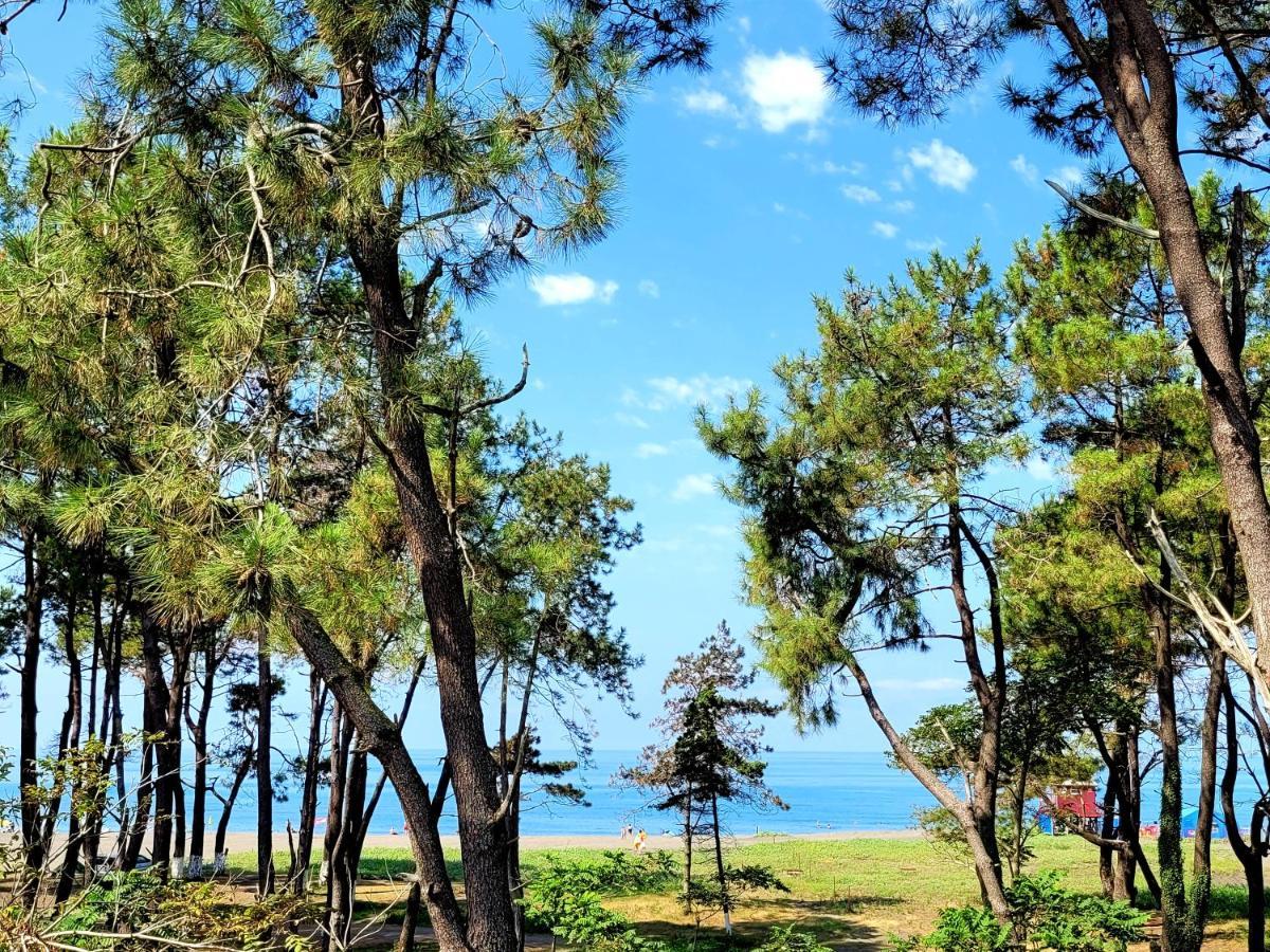 Beachfront Apartments ,,Kapro-One,, Ureki Kültér fotó